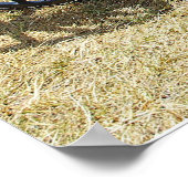 ウマ描ドクター乳母車 ポスター (角)