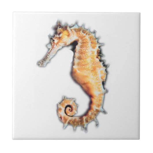 ウマ瓦(2)サイズ タイル (正面)