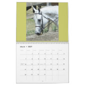 ウマ科のなカレンダー カレンダー (3月 2027)
