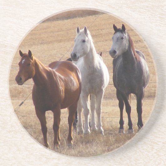 ウマ科のな興味3 コースター (正面)