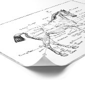 「ウマ科の体部品」 ポスター (角)