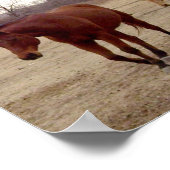 ウマ科の後を追ポスター ポスター (角)