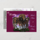 ウマ科の献身～サンセット馬招待状 招待状 (正面/裏面)