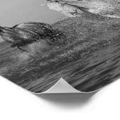 ウマ科の素晴らし美術写真 ポスター (角)