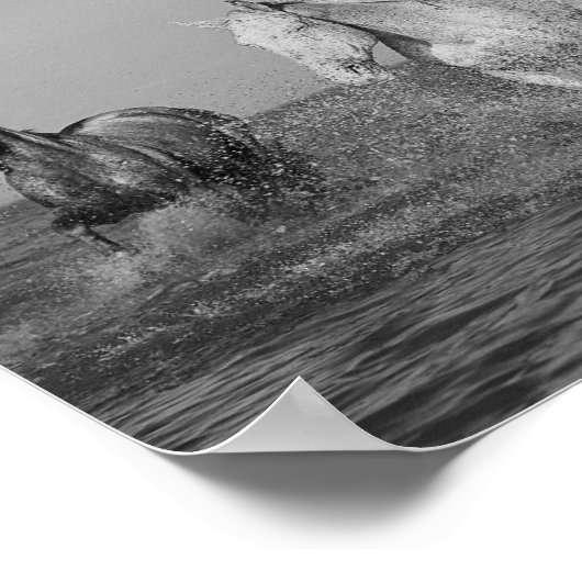 ウマ科の素晴らし美術写真 ポスター (角)