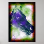 ウマ科の 3 ポスター (正面)