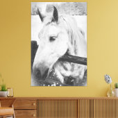 *~* ウマ科の AR22。木製フェンスの上に白い馬 キャンバスプリント (インサイチュ (リビング))