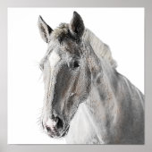 ウマ素朴ミニマルモダンカントリーファームハウス ポスター (正面)