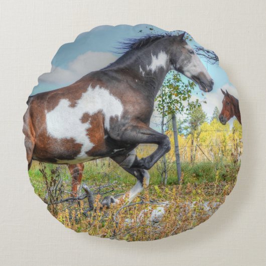 ウマ絵を描ランチでの仲間へのジャンプ ラウンドクッション (正面)