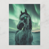 ウマ絵を描ー白熱［赤熱］光を放つアイノーザンライト ポストカード (正面)