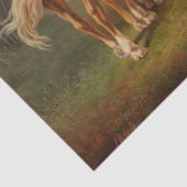 ウマ絵画ズ 薄葉紙 (詳細)