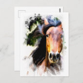 *~ウマ芸術的スウマ科のAR22 アート ポストカード (正面/裏面)