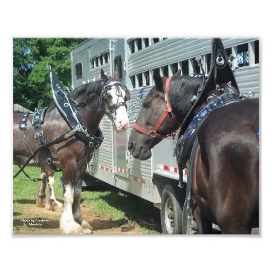 ウマ荷車を引くデュオ フォトプリント            (正面)