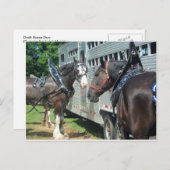 ウマ荷車を引くデュオ ポストカード (正面/裏面)