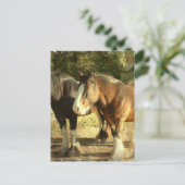 ウマ荷車を引くペア葉書 ポストカード (スタンド正面)