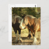 ウマ荷車を引くペア葉書 ポストカード (正面/裏面)