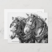 ウマ荷車を引くーズスケッチはがき ポストカード (正面/裏面)