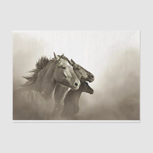 ウマ走ーズとStormy Background 薄葉紙 (正面)