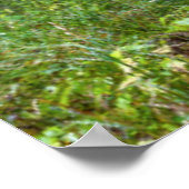 ウマ・イン・メドウ ポスター (角)