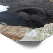 ウマ・ウイスパー ポスター (角)