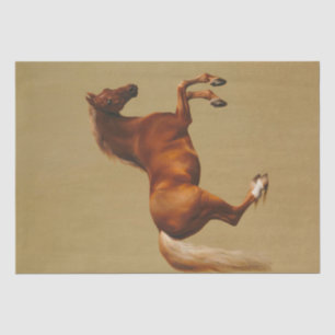 ウマ・ウイスレジャケ絵を描ットのデコペポートレート 薄葉紙