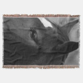 ウマ・トブクナ スローブランケット (正面)