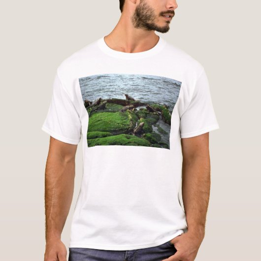 ウミイグアナのコロニー Tシャツ (正面)