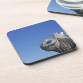 ウミイグアナ コースター (左側)