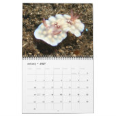 ウミウシの1年カレンダー カレンダー (1月 2027)