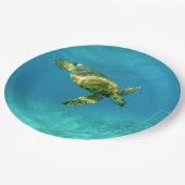ウミガメがターコイズ海水で泳ぐ ペーパープレート (アングル)