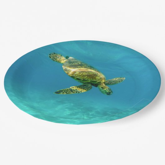 ウミガメがターコイズ海水で泳ぐ ペーパープレート (アングル)