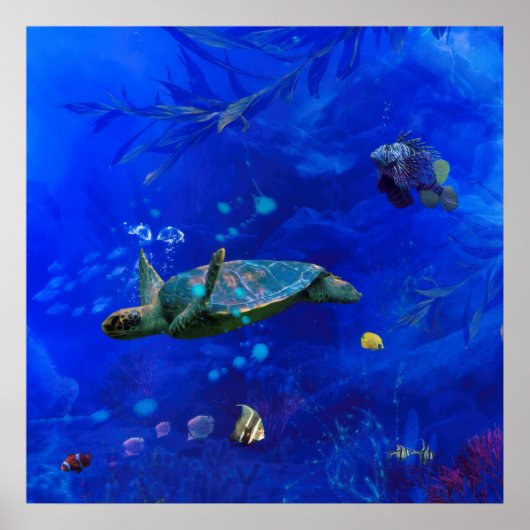 ウミガメが水に吹き付ける ポスター (正面)