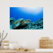 ウミガメが水中で休む2 ポスター (キッチン)