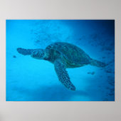ウミガメで泳ぐ4 ポスター (正面)