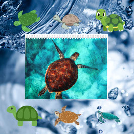 ウミガメとリクガメの海洋生物の写真 カレンダー