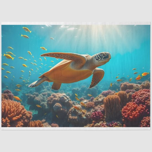 ウミガメと多くの小型魚が水中に 薄葉紙 (正面)