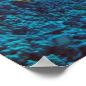 ウミガメと魚のプリント ポスター (角)