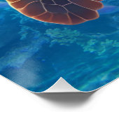 ウミガメによるマインドフルネスと海岸穏やかさ ポスター (コーナー)