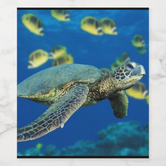 ウミガメによる ワインラベル (シングルラベル)