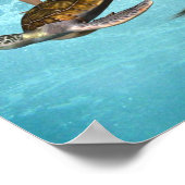 ウミガメのポスター付き人魚 ポスター (角)