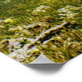 ウミガメのポスター ポスター (角)