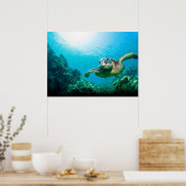 ウミガメのポスター ポスター (キッチン)