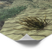 ウミガメのポスター ポスター (角)