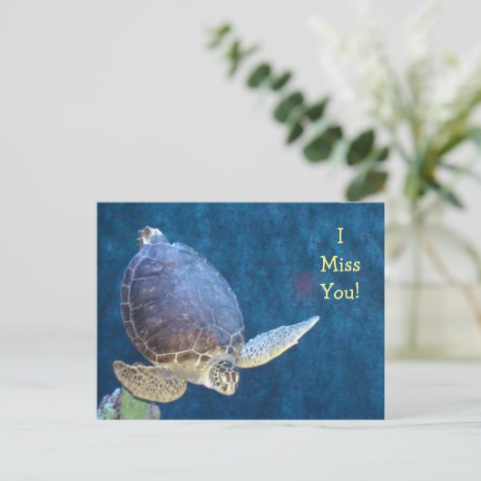 ウミガメのポストカード(独自の文字を追加) ポストカード (スタンド正面)