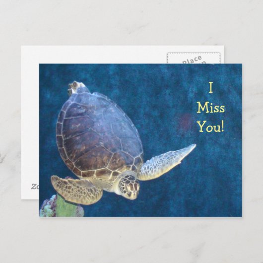ウミガメのポストカード(独自の文字を追加) ポストカード (正面/裏面)