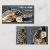 ウミガメの名刺 名刺 (正面/裏面)