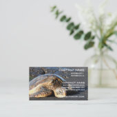 ウミガメの名刺 名刺 (スタンド正面)