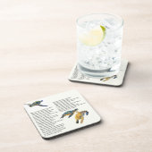 ウミガメの平和詩の祈りの言葉の野性生物のコースター コースター (右側)