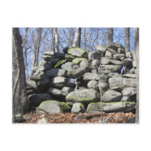 ウミガメの式石を見つける