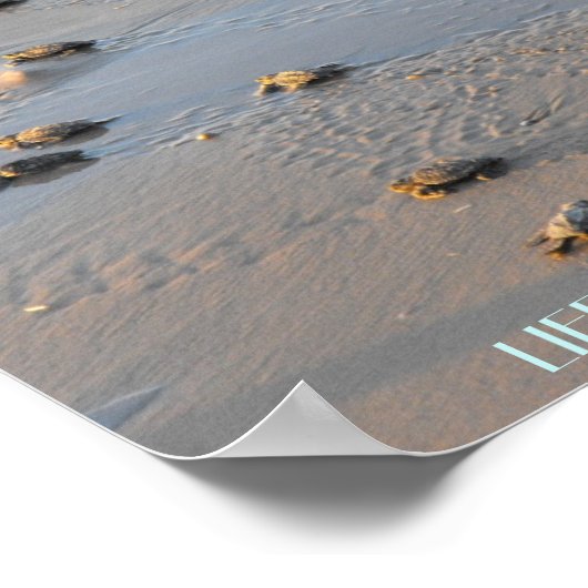 ウミガメの旅 ポスター (角)